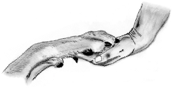 logo2.png